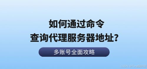 如何通過命令查詢代理服務器地址 以票務代理服務為例